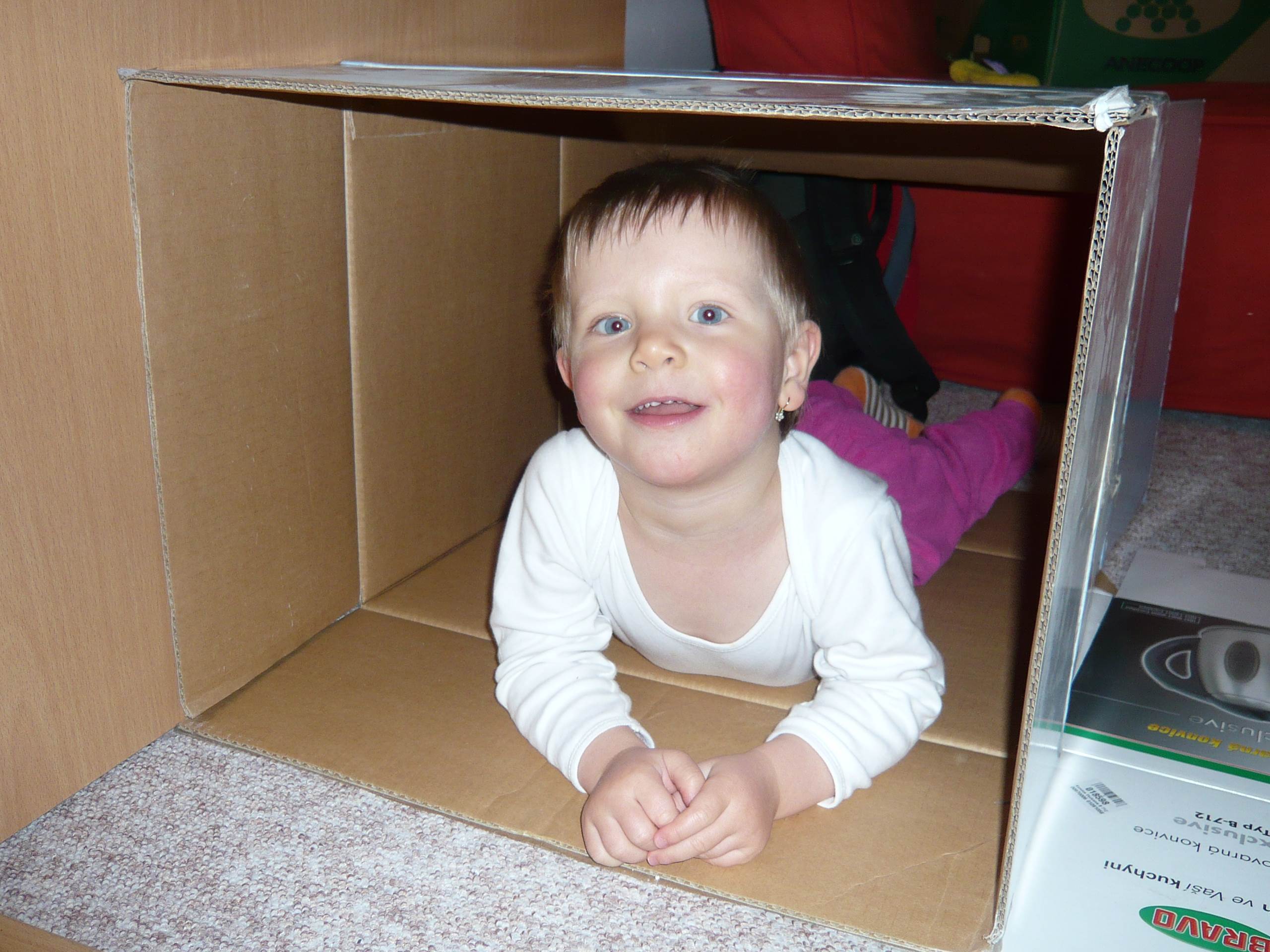 Gába, 2009 (2 roky)