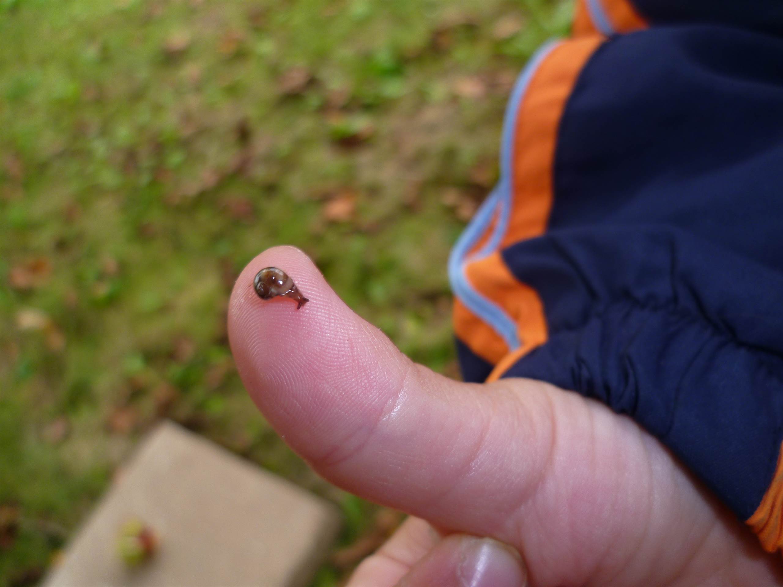 říjen 2010 (3 roky, 9 měsíců)