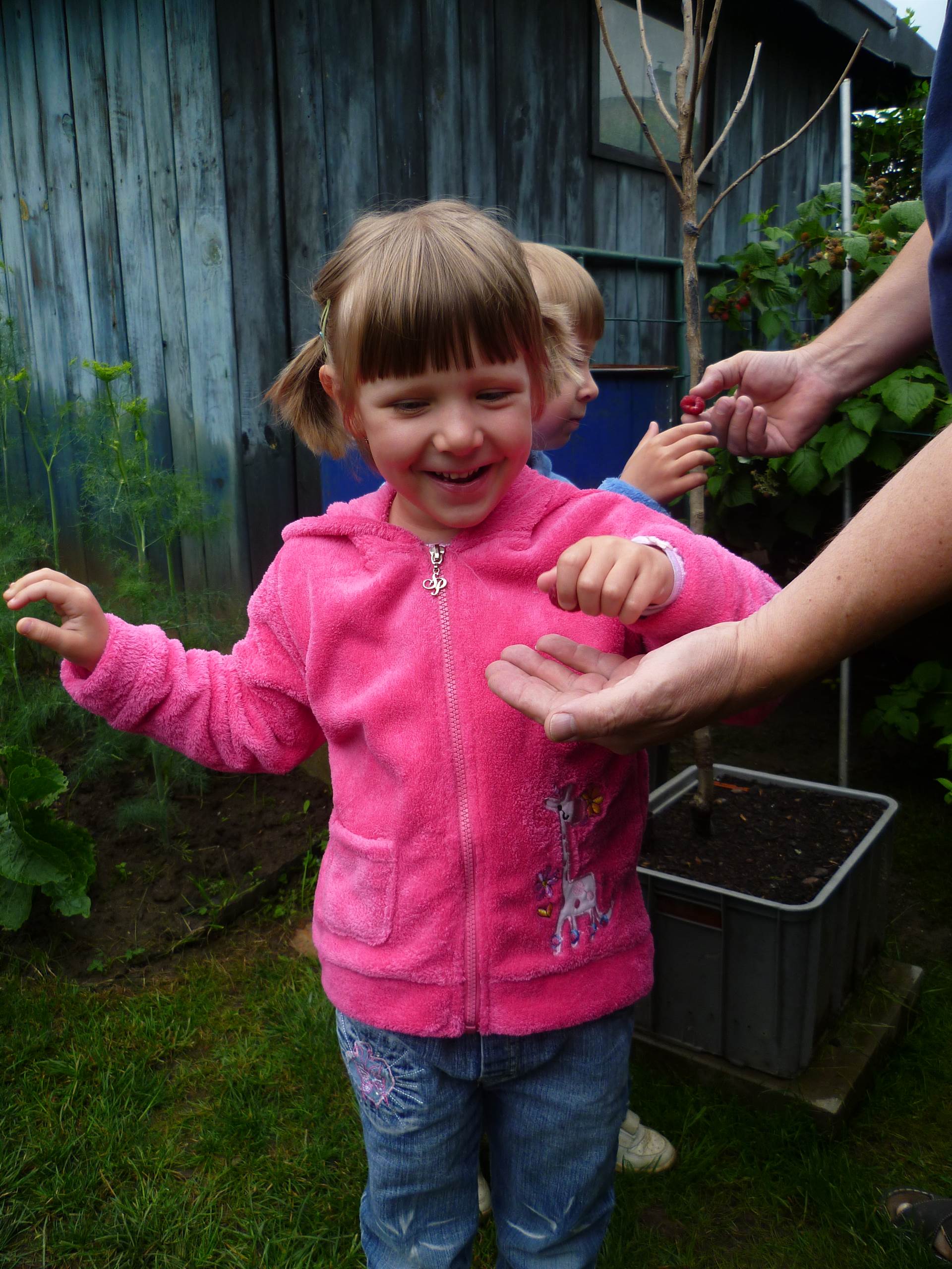 červenec 2011 (4 roky, 6 měsíců)