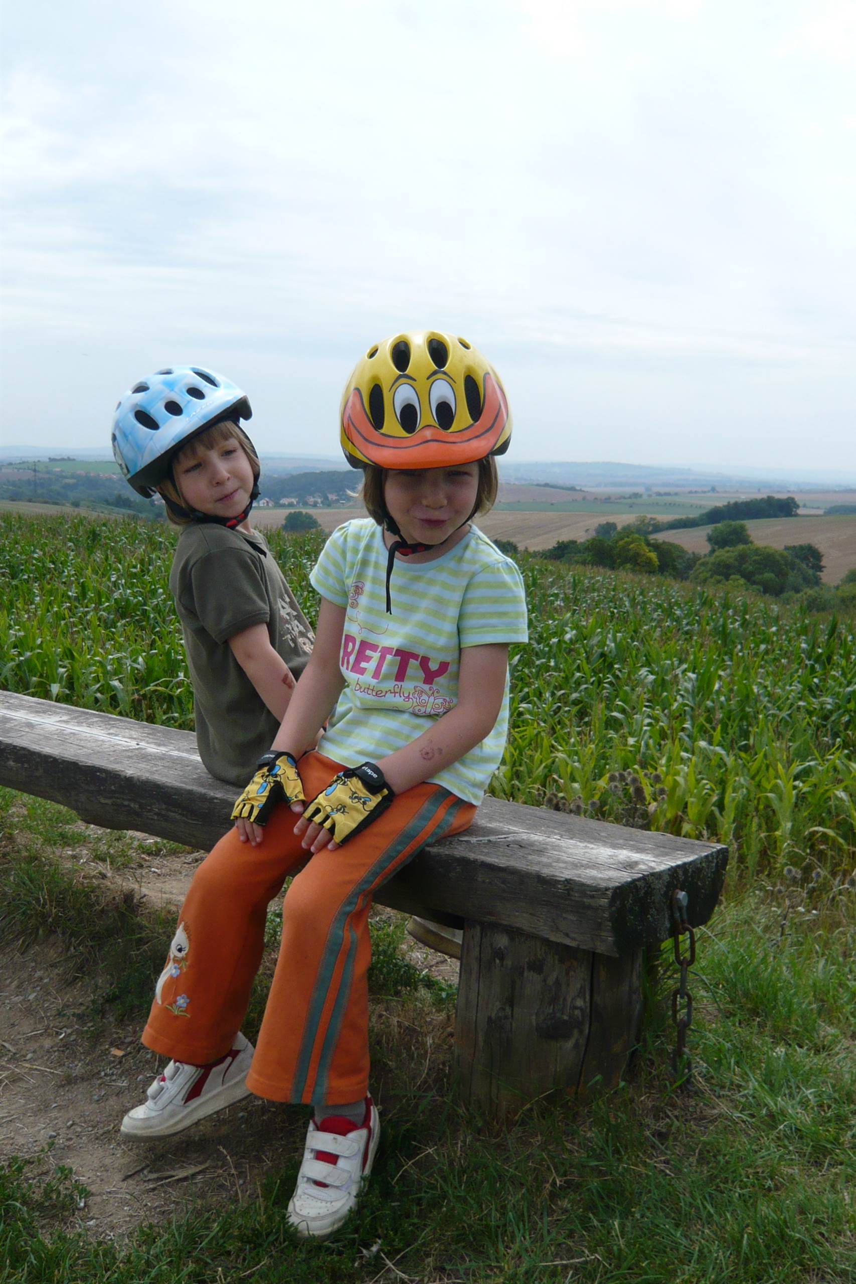 srpen 2011 (4 roky, 7 měsíců)