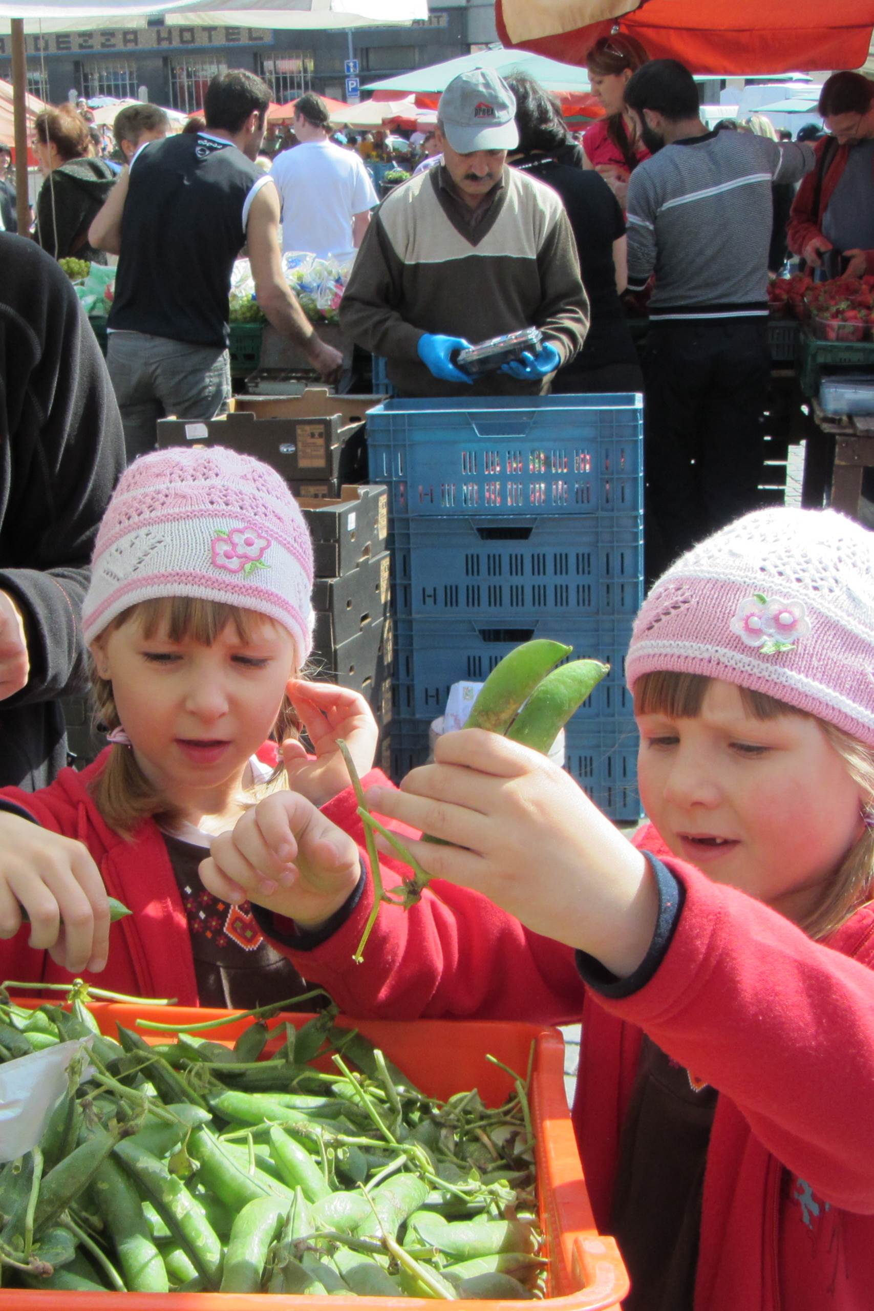 květen 2013 (6 roků, 4 měsíce)