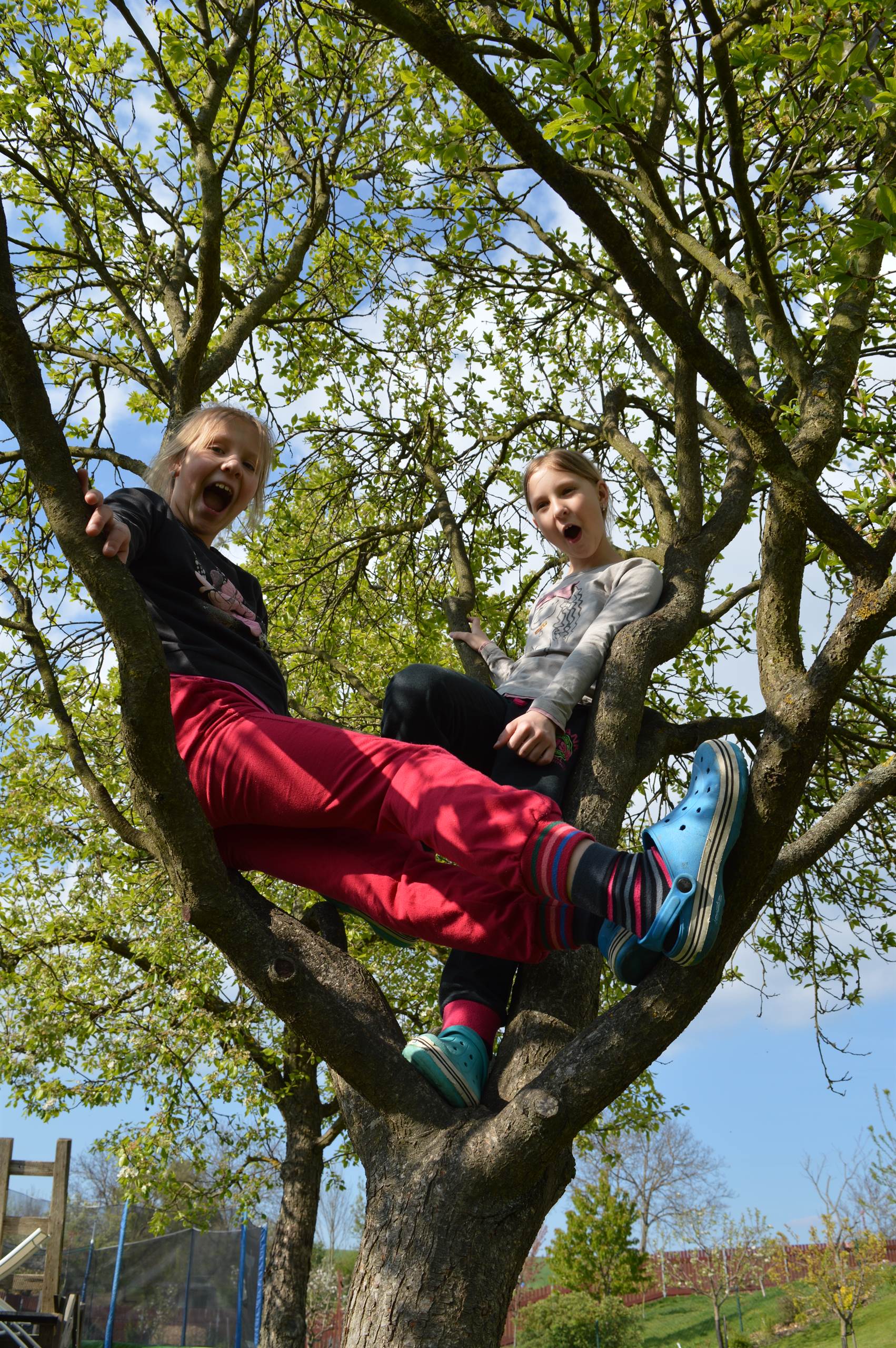 květen 2017 (10 roků, 4 měsíce)