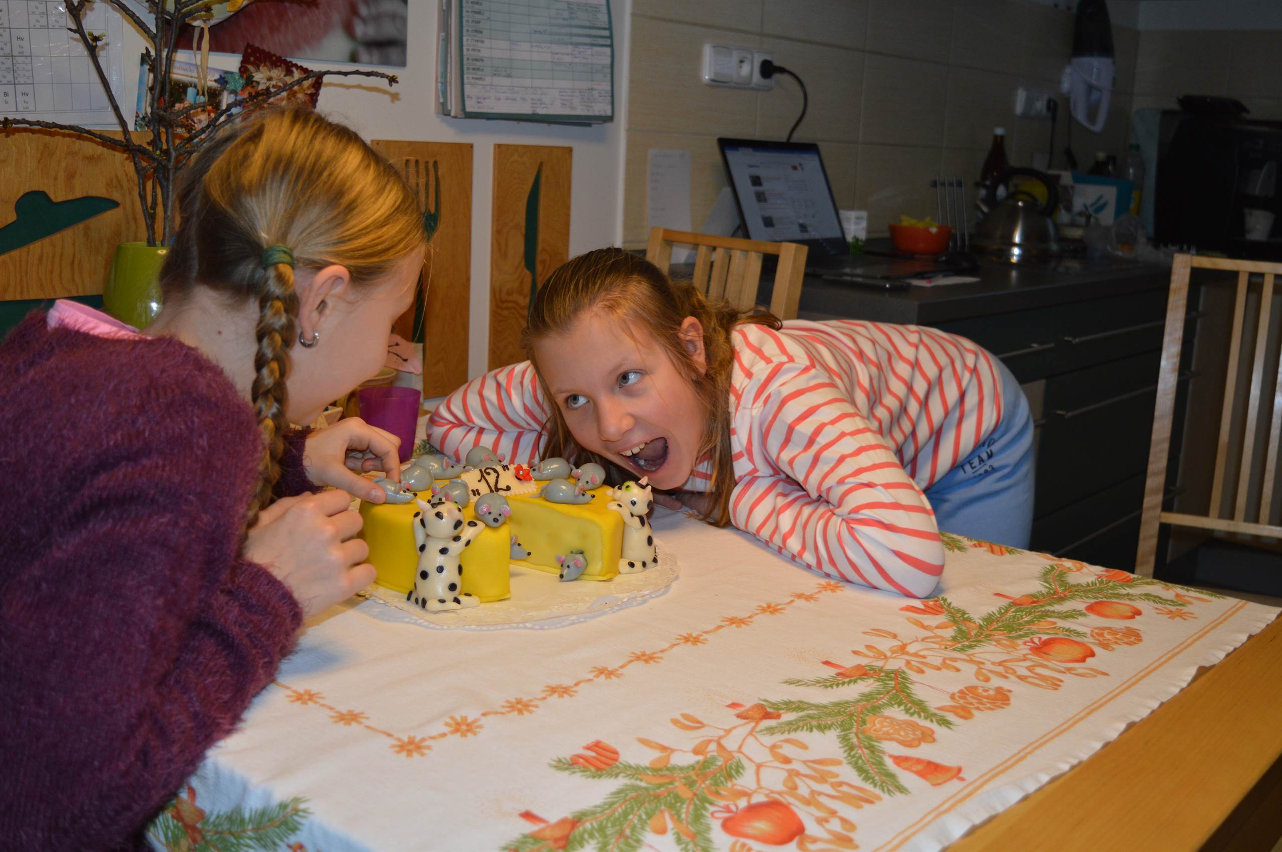 prosinec 2018 (11 roků, 11 měsíců)